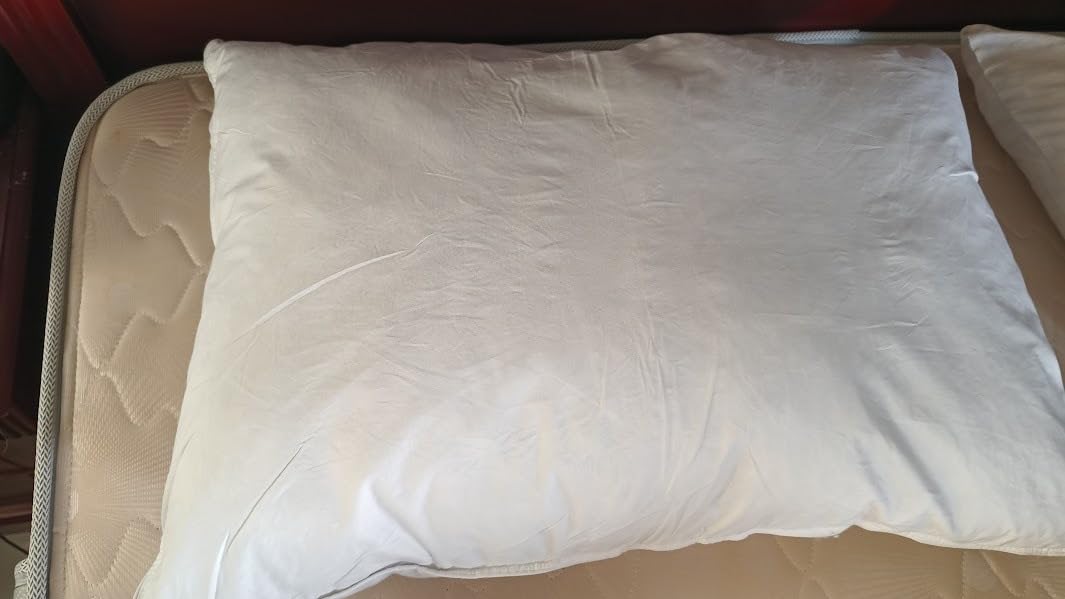 A white pillow resting on a neatly made bed, showcasing the JA COMFORTS Down Feather Pillows in use for a product review.